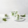 Taza con Platillo - Muga Salvia