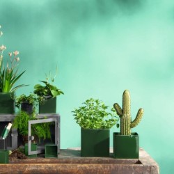 Planter 12Cm - Quadro