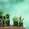 Planter 12Cm - Quadro
