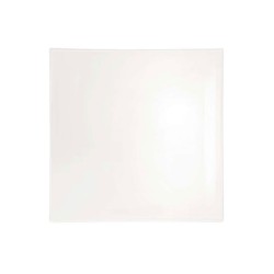 Square Plate 24Cm - Grande