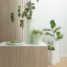 Vase Ø13,6cm Silver Birch - Terra Spice