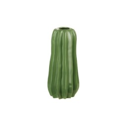 Vase 24Cm - Cactus