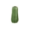 Vase 24Cm - Cactus