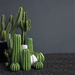 Vase 24Cm - Cactus