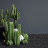 Vase 24Cm - Cactus