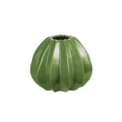 Jarra 14Cm - Cactus