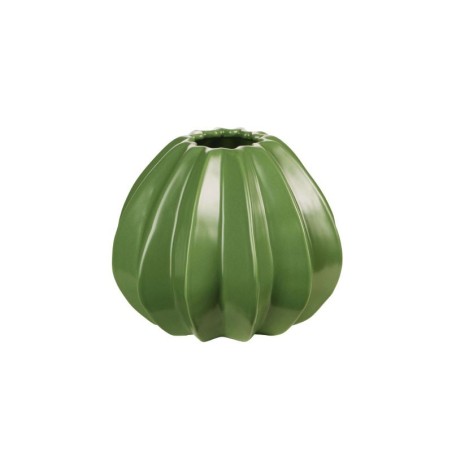 Vase 14Cm - Cactus