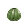 Vase 14Cm - Cactus