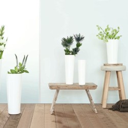 Florero 45Cm - Mono