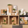 Molinillo de Sal/Pimienta 29,2cm - Kitchen Gifts