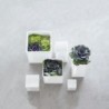 Macetero 12cm - Quadro