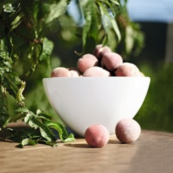 Bowl Ø40,5Cm - Grande