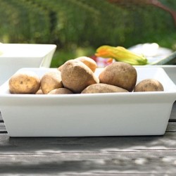 Square Gratin Dish 23Cm - 250ºc