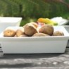 Plato Gratin Cuadrado 23Cm - 250ºc