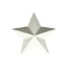 Decorative Star ø7,6cm White - Xmas
