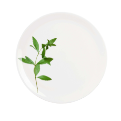 plate, d. 26,5 cm - leaves