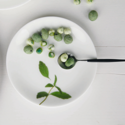 Dinner Plate Ø26,5cm - Leaves