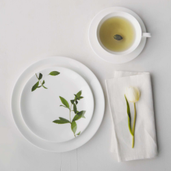 Dinner Plate Ø26,5cm - Leaves