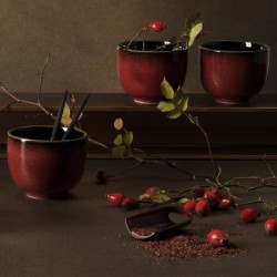 Tea Bowl Ø8cm Rusty Red – Kolibri