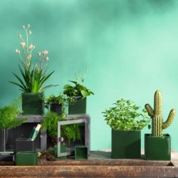 Planter 18Cm - Quadro
