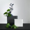 Vase 17Cm - Ruby
