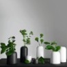 Vase 23Cm - Olahh