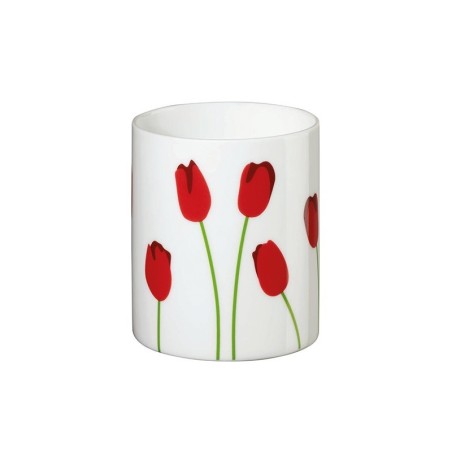 Lantern Tulip 9cm - Springtime