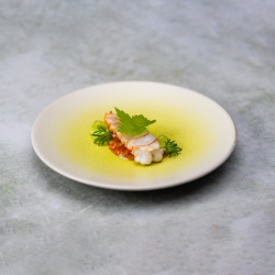 Prato de Sobremesa Koi ᴓ19cm - Kolibri