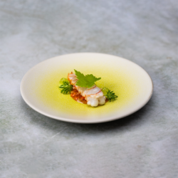Dinner Plate Koi ᴓ25cm - Kolibri