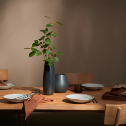 Salad/Pasta Plate ø25cm - Caja