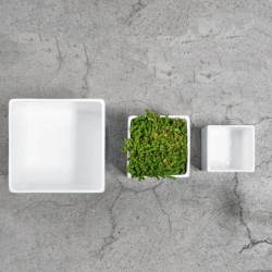 Planter 23Cm - Quadro