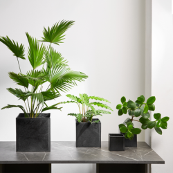 Planter Black Iron 23m - Quadro
