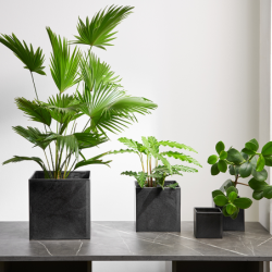 Planter Black Iron 18cm - Quadro