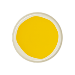 Dinner Plate ø27cm Le Soleil - Variété du Soleil