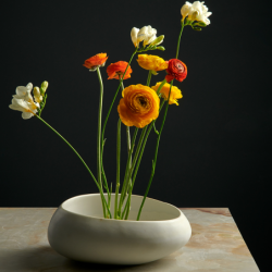Bowl Soft Shell 20cm - Swing