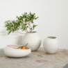 Bowl Soft Shell 20cm - Swing