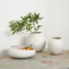 Bowl Soft Shell - Swing