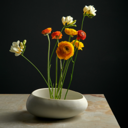 Bowl Soft Shell - Swing