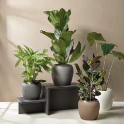 Planter Ivory Ø18,5cm - Bruna
