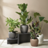 Planter Ivory Ø18,5cm - Bruna