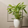 Planter Ivory Ø22cm - Bruna