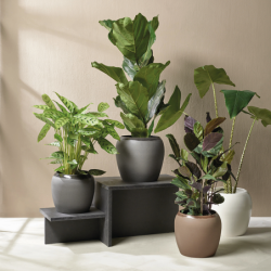 Planter Charcoal Ø22cm - Bruna