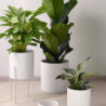 Soporte Metálico para Macetero Blanco XS - Haruko