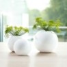 Vase Ball 11Cm - Balls
