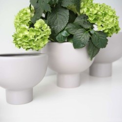 Planter On Foot 10Cm - Midoro
