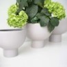 Planter On Foot 10Cm - Midoro