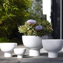 Planter On Foot 10Cm - Midoro