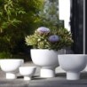 Planter On Foot 10Cm - Midoro