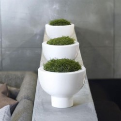 Planter On Foot 10Cm - Midoro