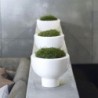 Planter On Foot 10Cm - Midoro